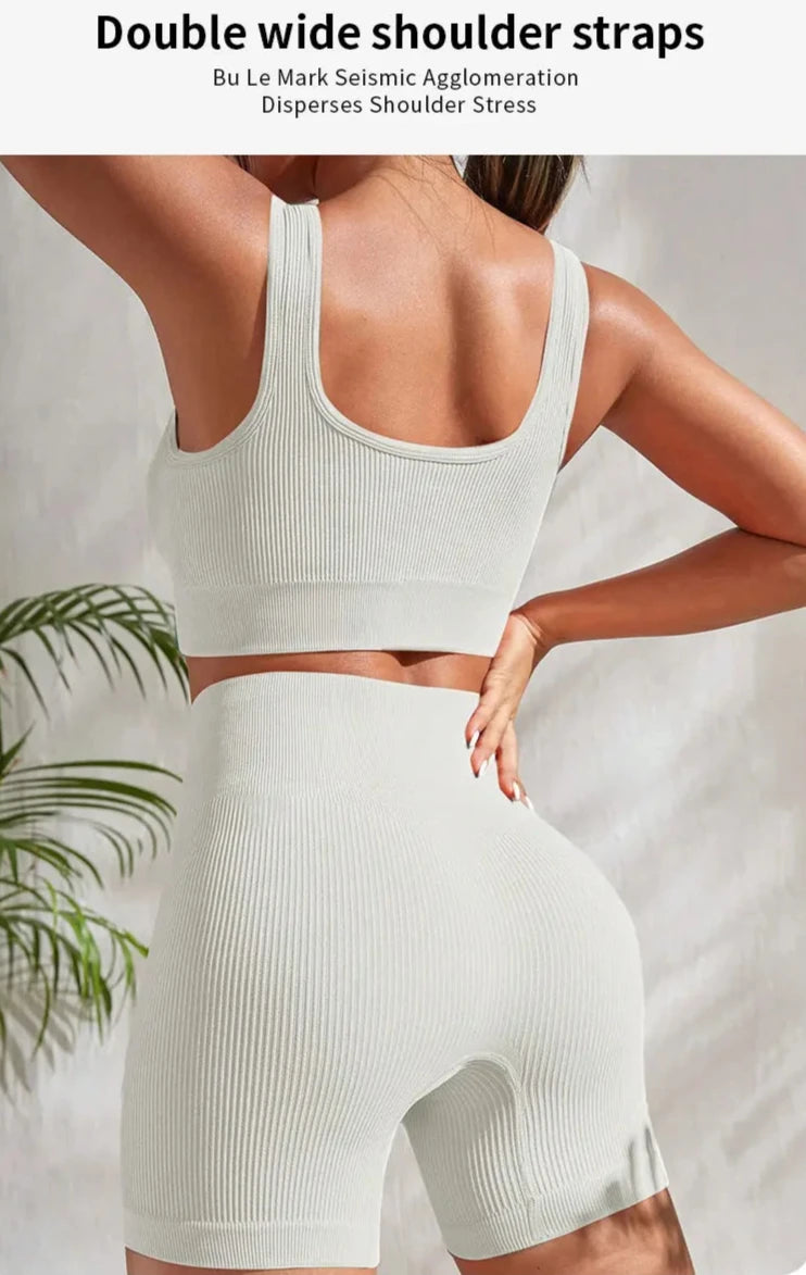 Seamless Gym Set: 2 Piece