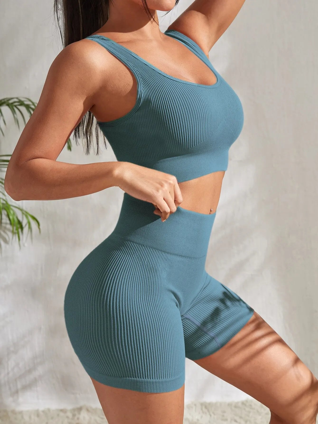 Seamless Gym Set: 2 Piece